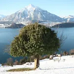 شاليه Egglen 